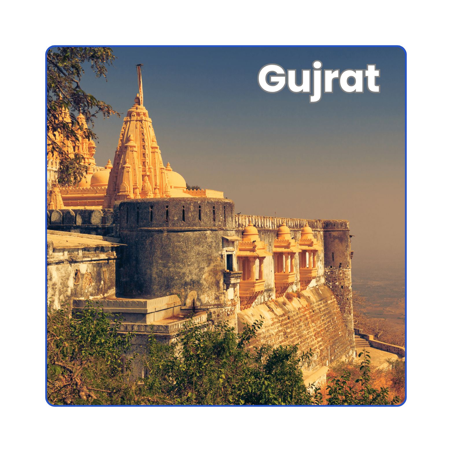 Packers Movers in Gujrat