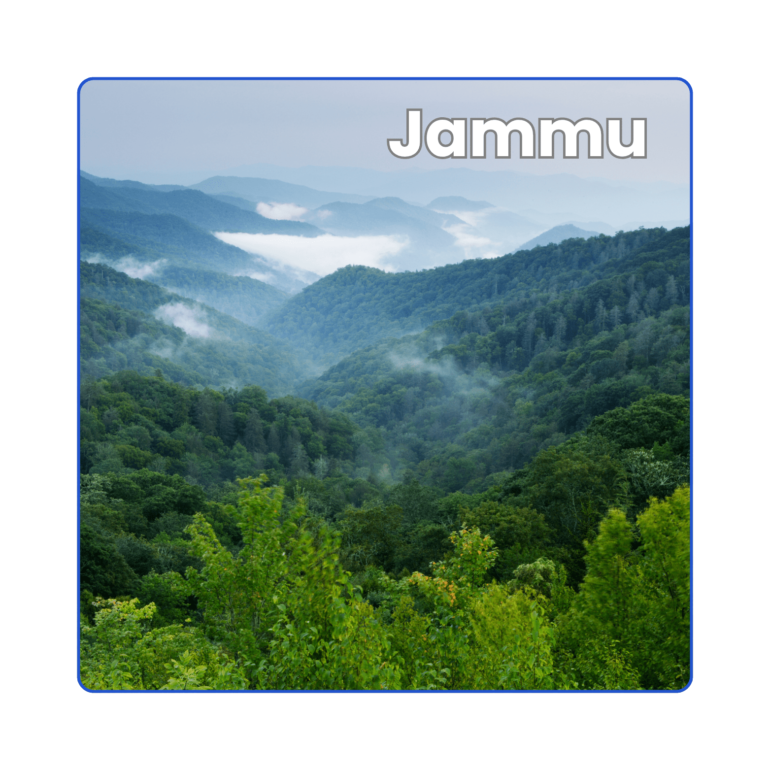 Packers Movers in Jammu